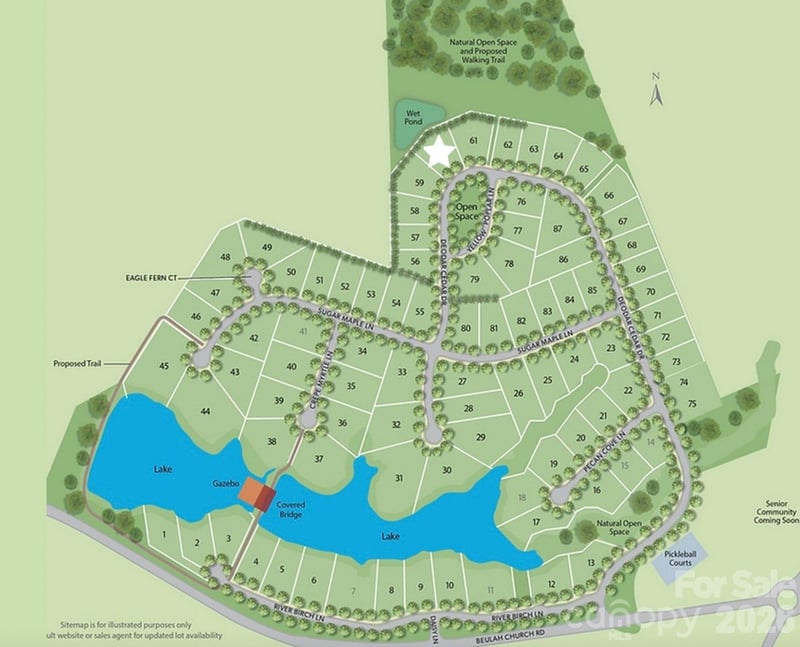 706 Deodar Cedar Dr, Weddington, NC 28104