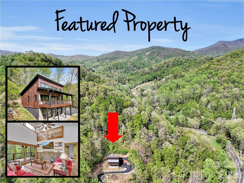 455 Chinquapin Rd, Canton, NC 28716