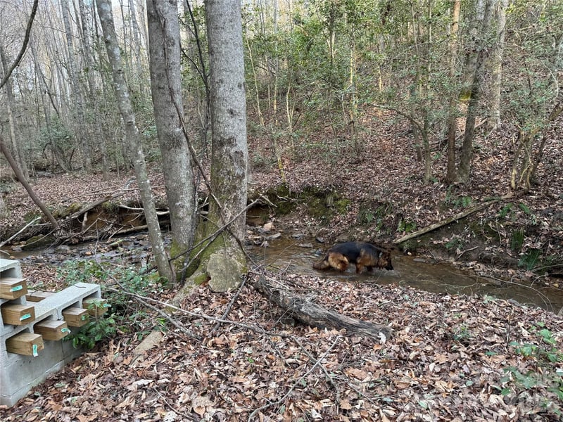 00 Eagle Mills Rd, Hamptonville, NC 27020