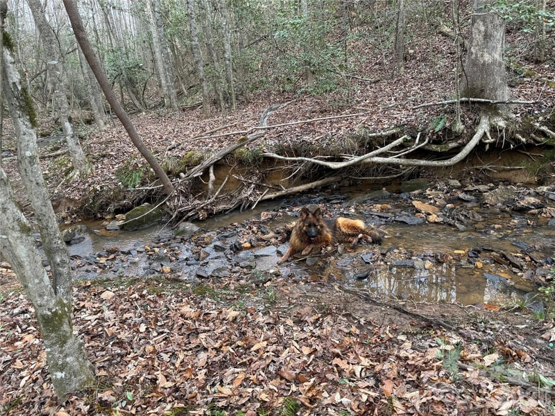 00 Eagle Mills Rd, Hamptonville, NC 27020