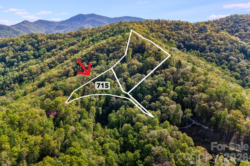 785 Laurel Spring Dr, Bryson City, NC 28713