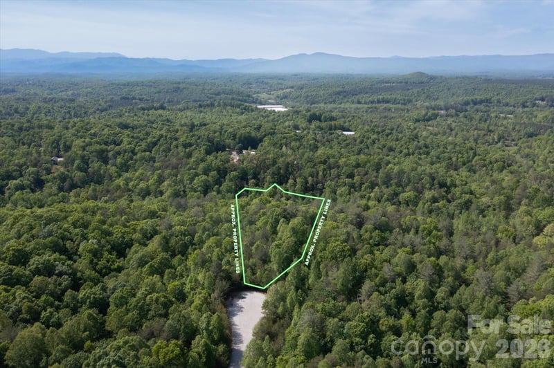 54 Perennial Dr #54, Nebo, NC 28761