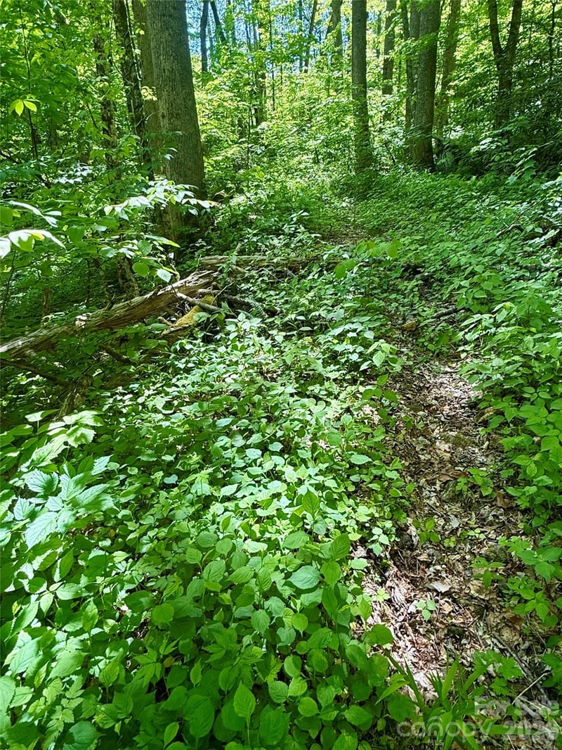 TBD Highway 107 None Lot 1, Glenville, NC 28736