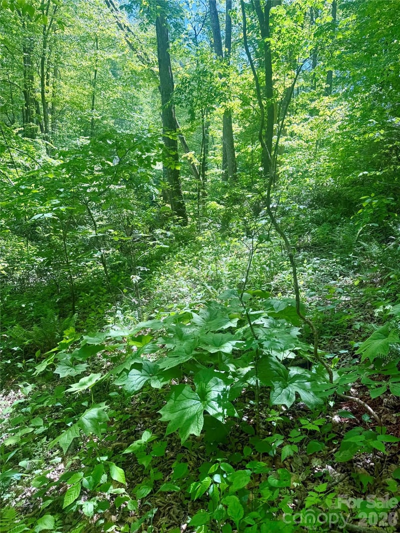 TBD Highway 107 None Lot 1, Glenville, NC 28736