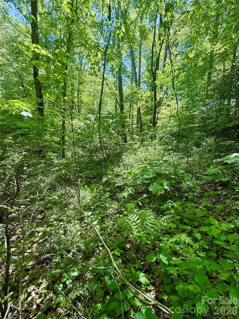 TBD Highway 107 None Lot 1, Glenville, NC 28736