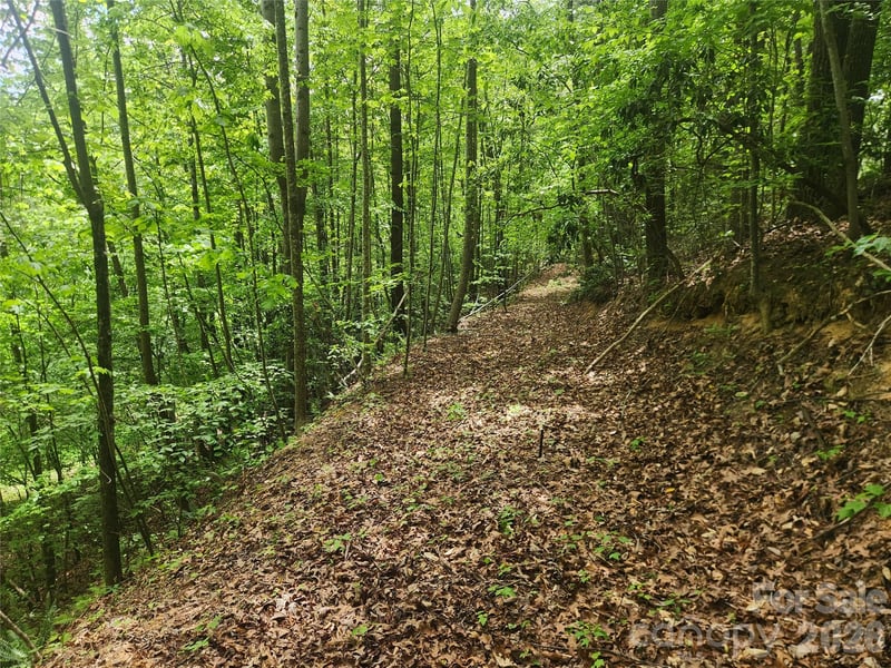 3024 Pearson Mountain Rd, Boomer, NC 28606