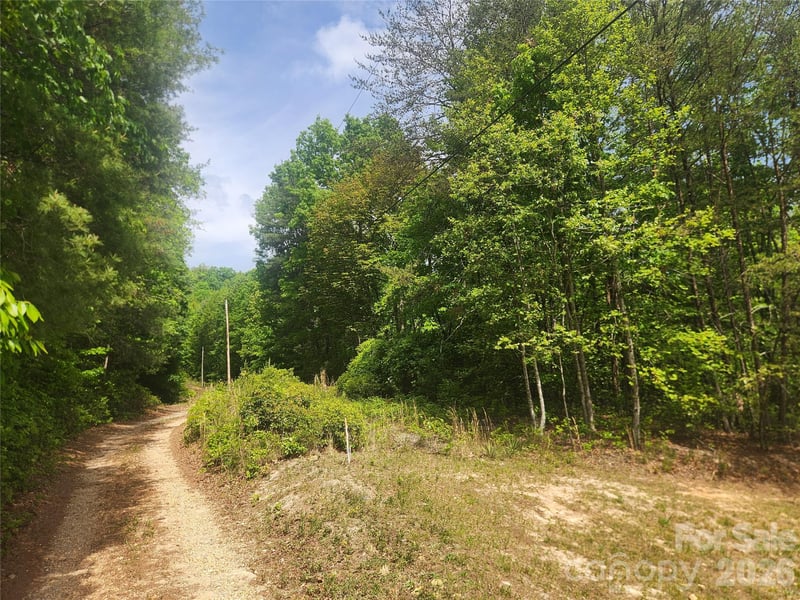 3024 Pearson Mountain Rd, Boomer, NC 28606