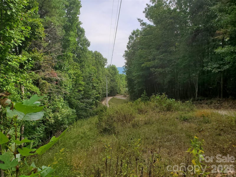 3024 Pearson Mountain Rd, Boomer, NC 28606