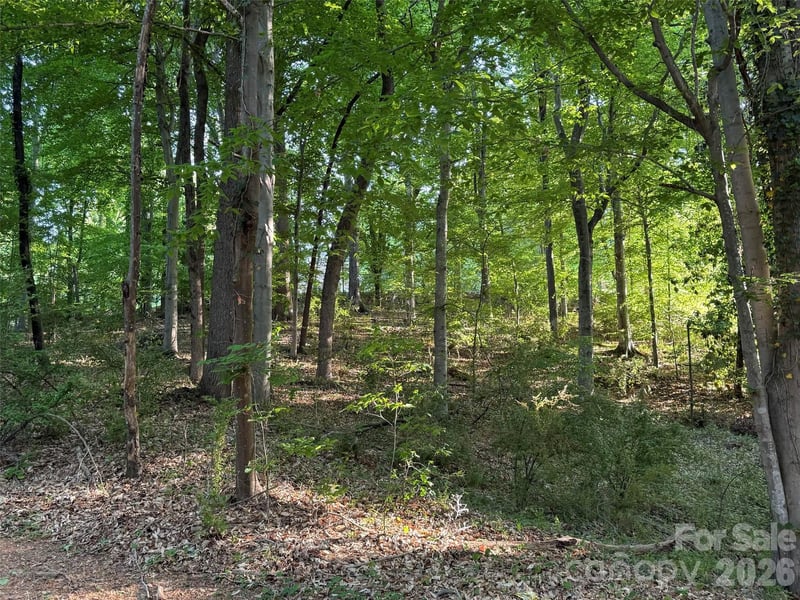 300 Maymont Dr, Cramerton, NC 28032