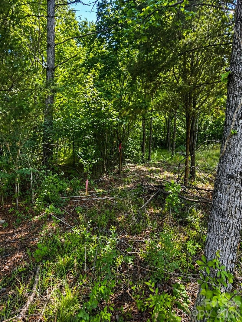 468 Porter Rd, Rock Hill, SC 29730