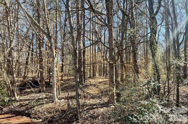 02 Lurecliff Pl, Fort Mill, SC 29708