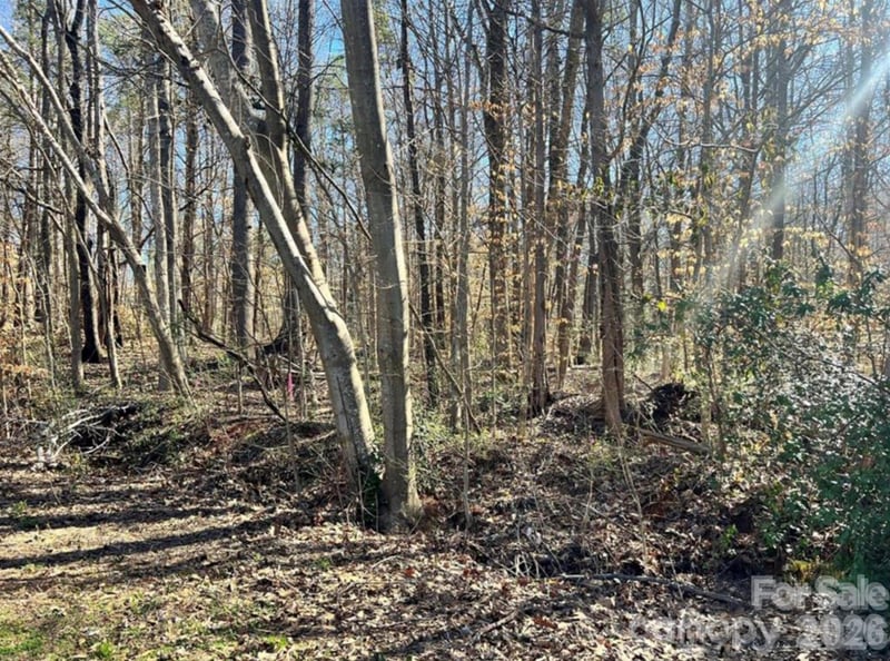 02 Lurecliff Pl, Fort Mill, SC 29708