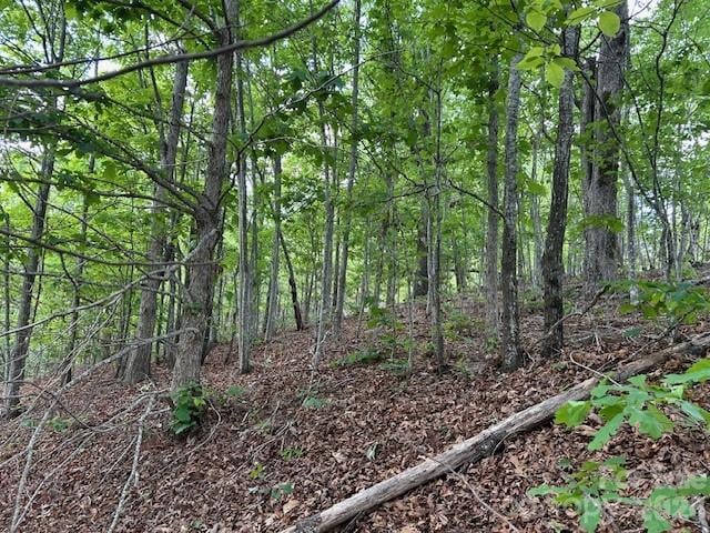 Azule Rg, Bostic, NC 28018