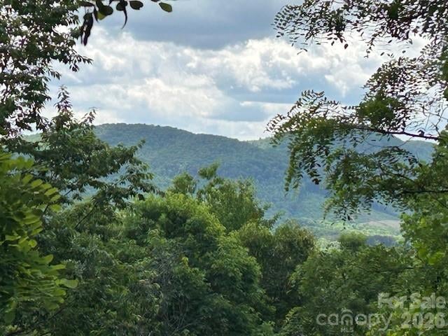 Azule Rg, Bostic, NC 28018