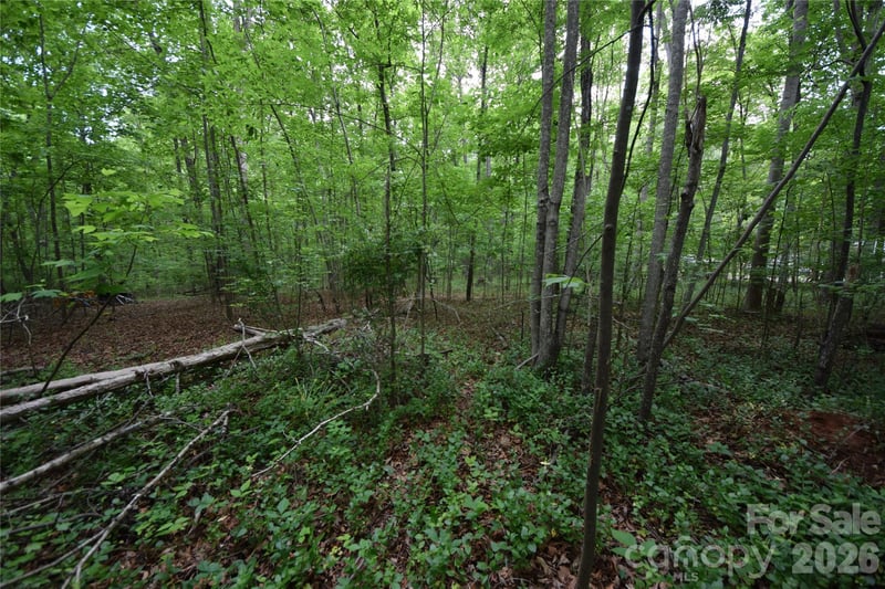 3007 Paraham Rd, York, SC 29745