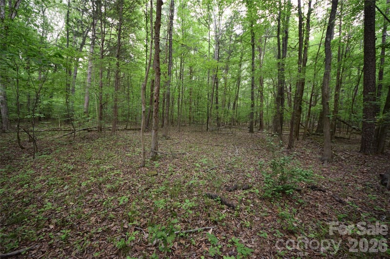 3007 Paraham Rd, York, SC 29745