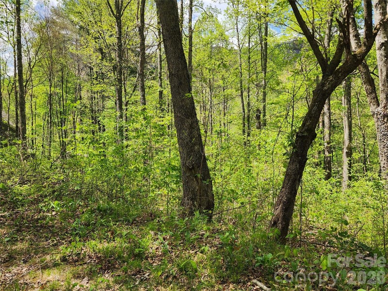 165 Wagon Wheel Way #2, Canton, NC 28716