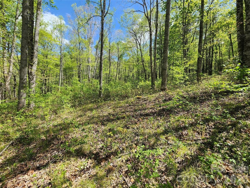 165 Wagon Wheel Way #2, Canton, NC 28716