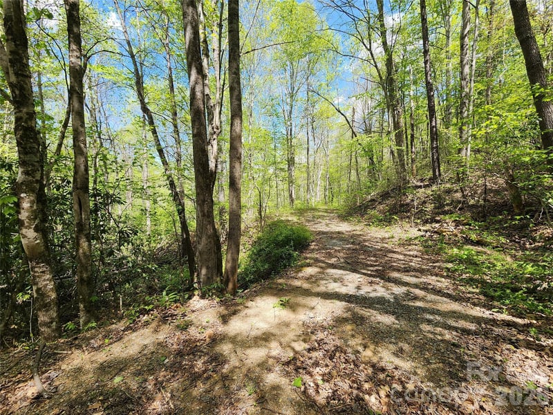 165 Wagon Wheel Way #2, Canton, NC 28716