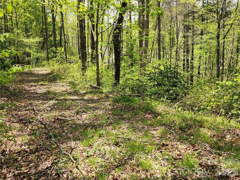 165 Wagon Wheel Way #2, Canton, NC 28716