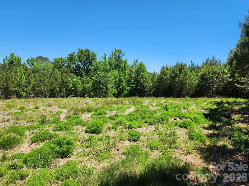 2423 Pine Grove Church Rd, Eagle Springs, NC 28272