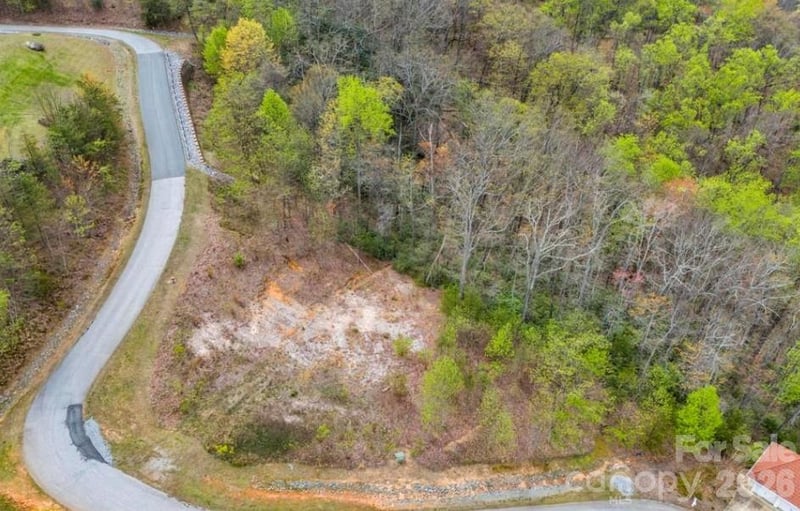 Clear Creek Trl #36, Lake Lure, NC 28746