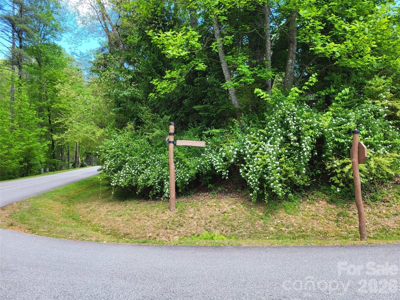20 Rockbrook Overlook #L20, Brevard, NC 28712