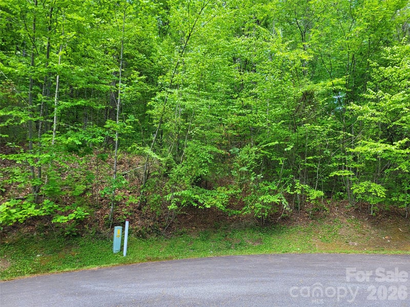 20 Rockbrook Overlook #L20, Brevard, NC 28712