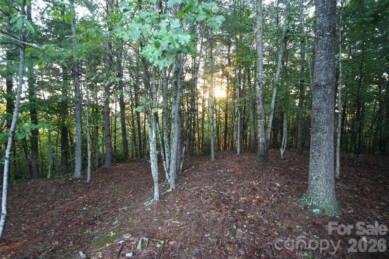TBD Poplar Bluff Dr #36, Lenoir, NC 28645