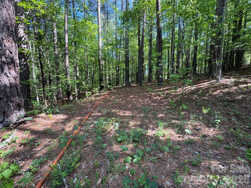 Island Creek Rd #1, Lake Lure, NC 28746