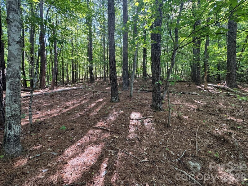 Island Creek Rd #1, Lake Lure, NC 28746