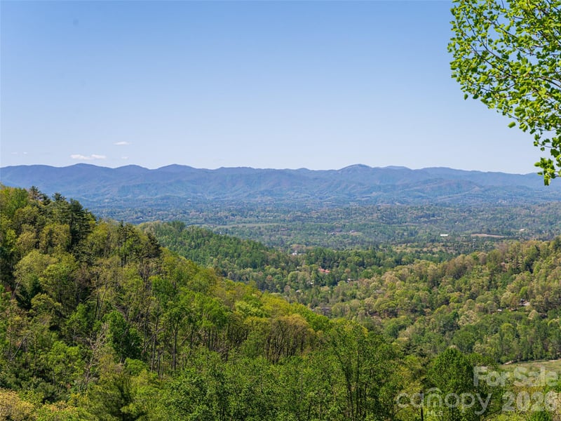 32 Timberwolf Ct, Asheville, NC 28804