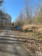 TBD Ridge Creek Dr #6,4,7, Taylorsville, NC 28681