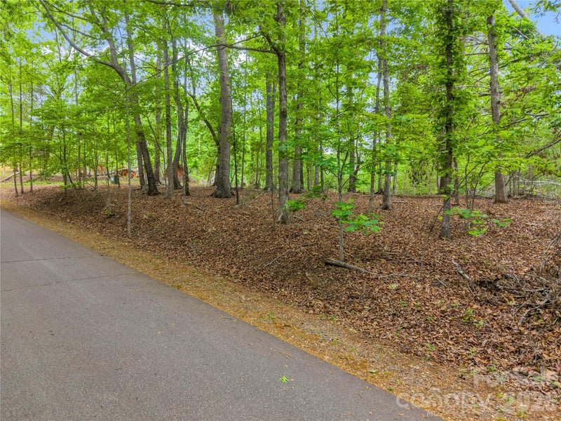 Wilderness Rg, Rutherfordton, NC 28139