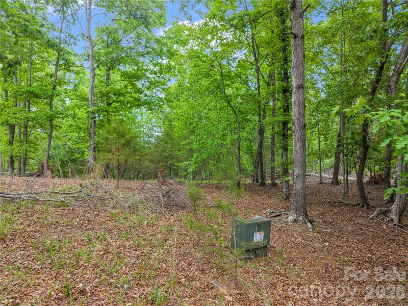 Wilderness Rg, Rutherfordton, NC 28139