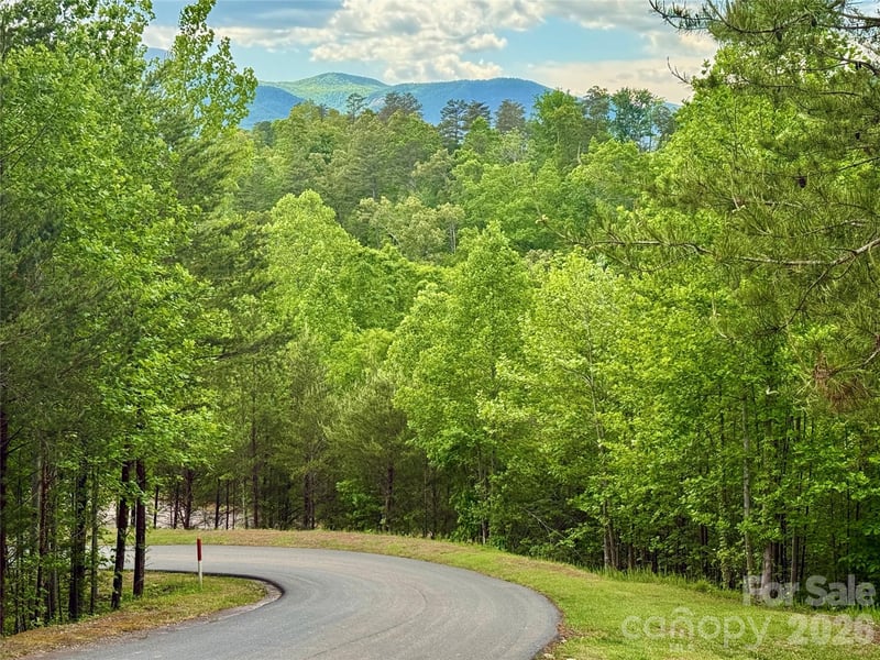 270 Rock Ledge Dr #270, Lake Lure, NC 28746