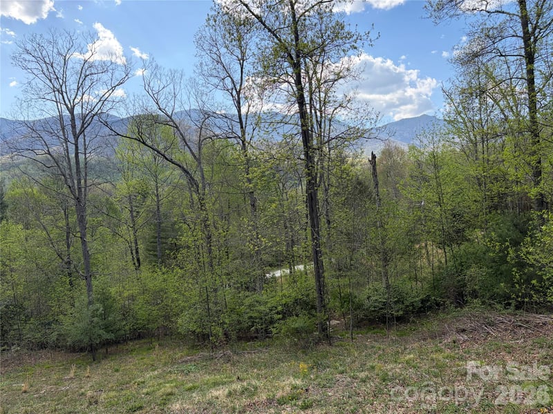 000 Mt Mitchell Dr, Burnsville, NC 28714