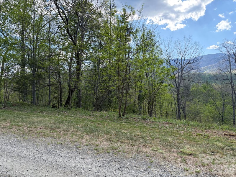 000 Mt Mitchell Dr, Burnsville, NC 28714