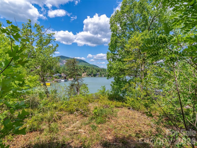 99999 Hawthorne Dr, Lake Lure, NC 28746