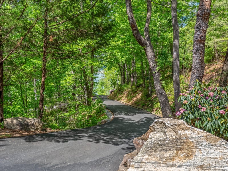 99999 Hawthorne Dr, Lake Lure, NC 28746