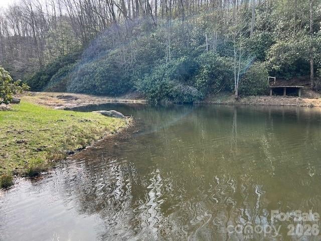 Beaver Dam Rd, Banner Elk, NC 28604