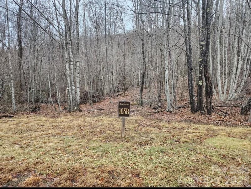 Beaver Dam Rd, Banner Elk, NC 28604
