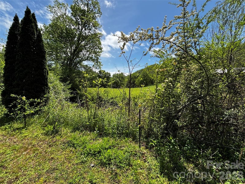 1659 Mountain Creek Rd, Robbinsville, NC 28871