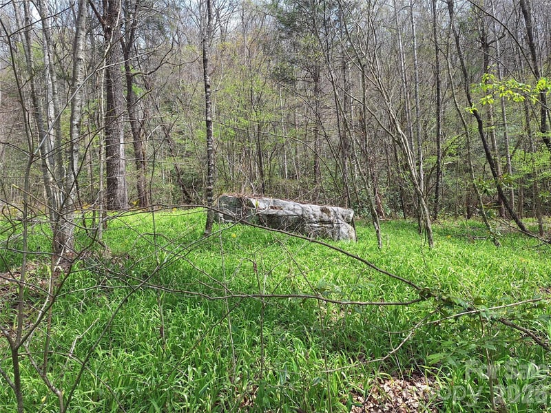 946 Lake Rd, Old Fort, NC 28762