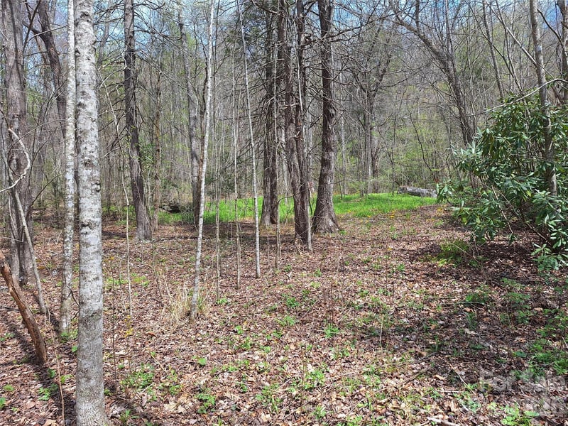 946 Lake Rd, Old Fort, NC 28762