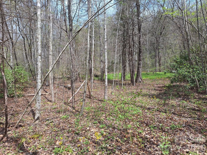 946 Lake Rd, Old Fort, NC 28762