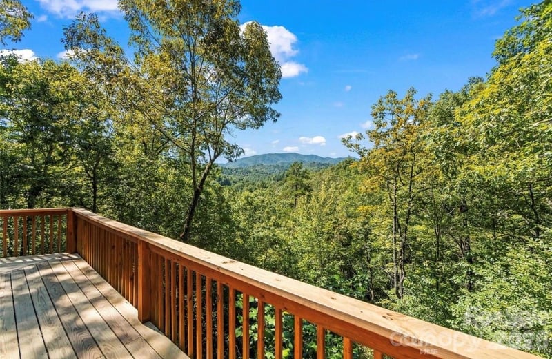 461 Mallard Cv, Almond, NC 28771