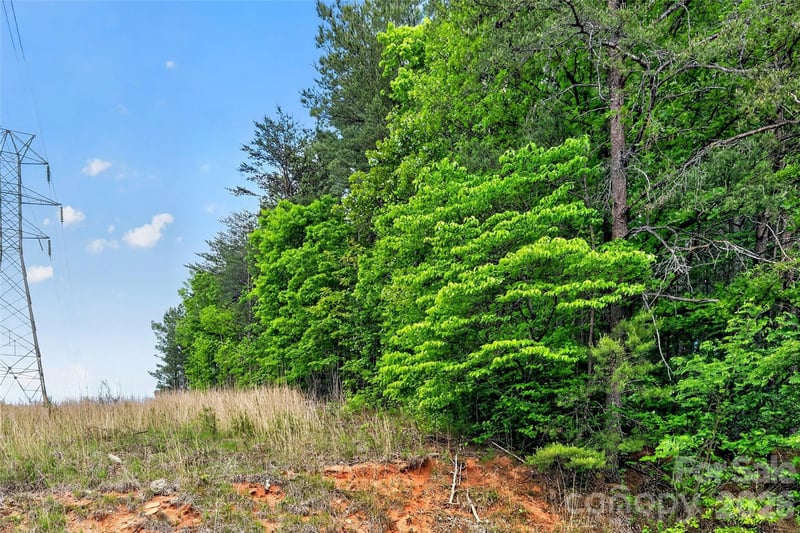 99999 Wright Rd, Marion, NC 28752