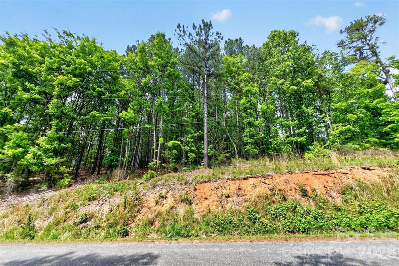 99999 Wright Rd, Marion, NC 28752
