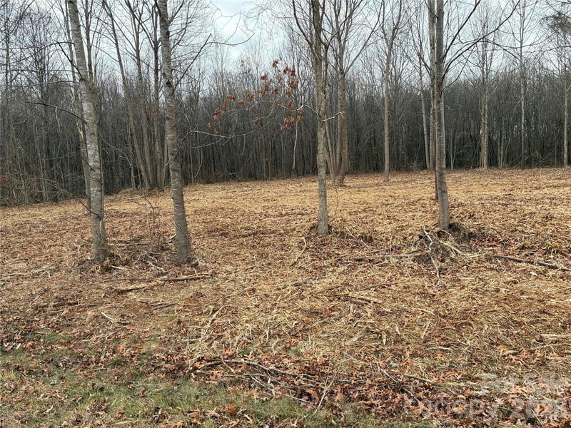2 Erwin Temple Church Rd, Woodleaf, NC 27054